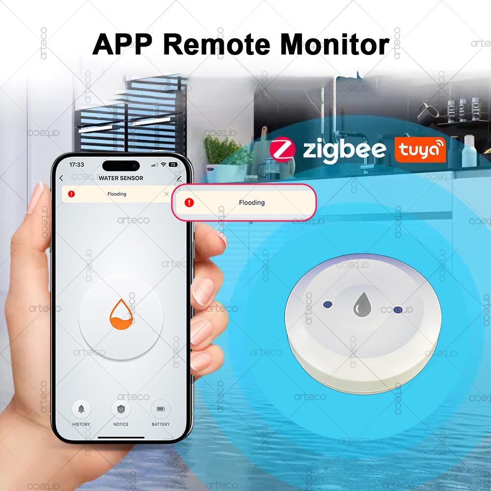 Tuya الذكية زيجبي المياه الاست - مراجعة Smart Home Zentrale وسعره